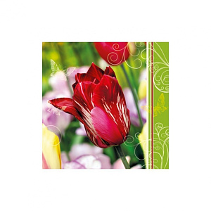 салфетка  трехслойная 33*33см тюльпан 002301 /daisy