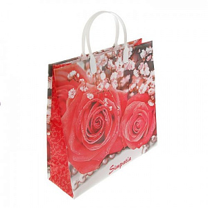 пакет пластиковый 30*30 лорен 150мкм /инт изображение пакет пластиковый 30*30 лорен 150мкм /инт фото