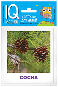 обучающие карточки умный малыш. деревья 26093 /айрис-пресс