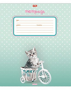 тетрадь 12л  клетка пластиковая обложка голубая 12т5в1 083405 /hatber